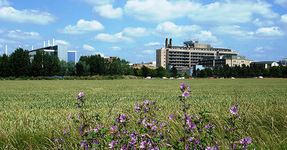 Cambridge Uni