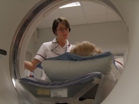 Radiographer and patient (taken from inside a CT scanner)