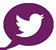 Image of Twitter icon