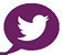 Twitter logo purple