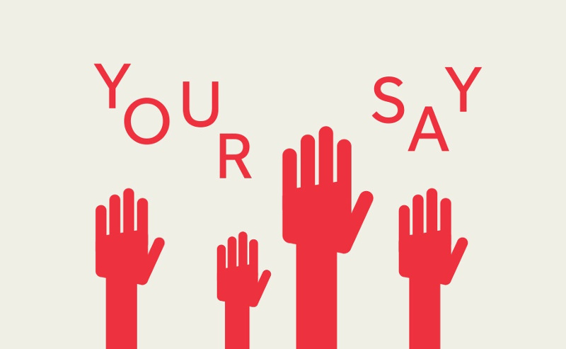 your say