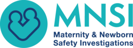MNSI logo