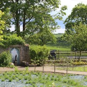 distington walled garden