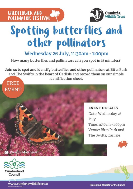 Event to spot butterflies