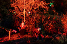 Muncaster Castle - Halloween