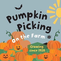 Walby Farm Park Pumpkin Picking 