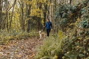 Lady walking through woodland with her dog