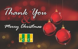 Thank you and Merry Christmas message