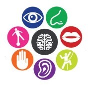 Sensory Processing Workshop