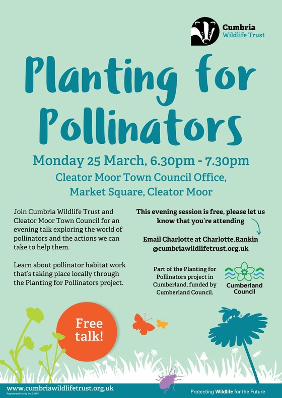 Cleator Moor Planting for Pollinators