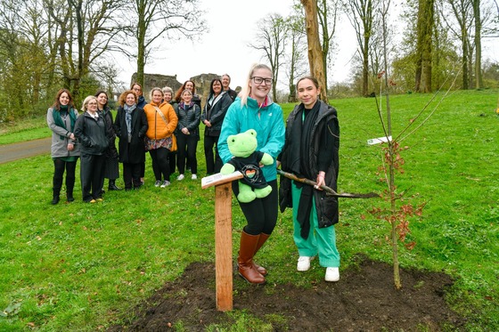 Positive tree planting