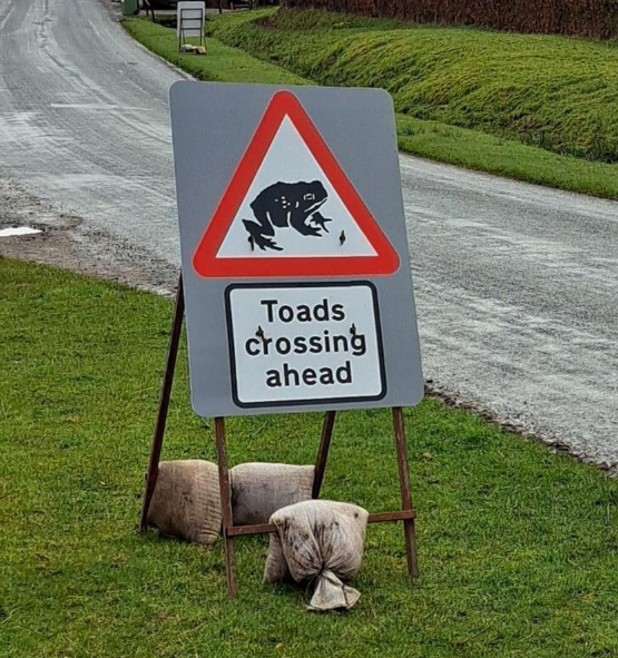 Toad sign