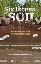 soil film