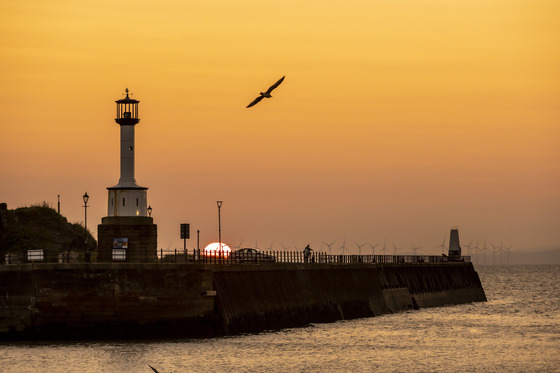 coastal sunrise