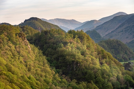 cumbrian rain forest