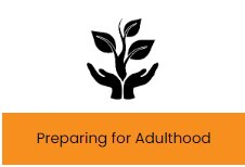 Preparing for Adulthood Local Offer
