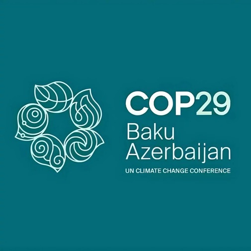 cop 29