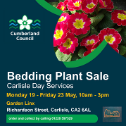 Plant Sale