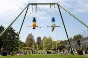 Swings in Crow Park