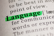 Language