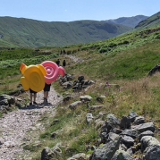 Summer in Cumberland