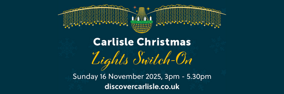 Christmas Lights Banner
