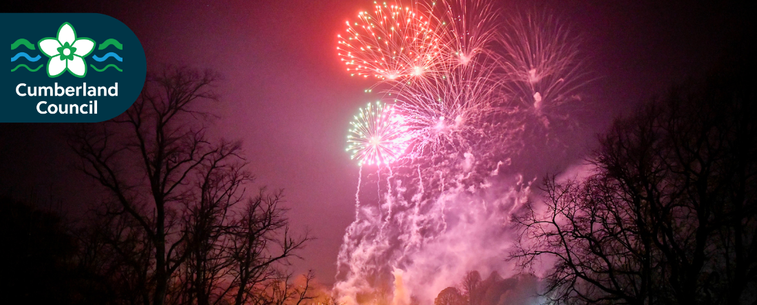 Email Banner - Fireshow