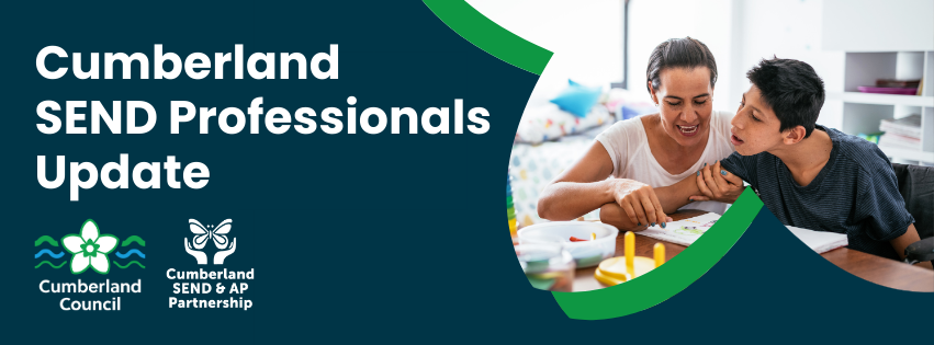 SEND Professional newsletter banner