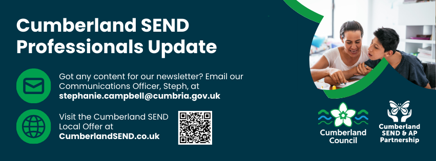 SEND Professionals end banner