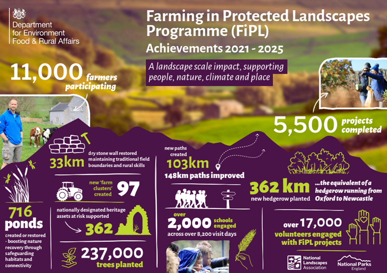 Infographic