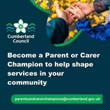 Become a parent and carer champion