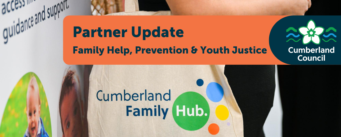 Partnership newsletter header 2