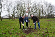 Hammond's Pond Tree Planting