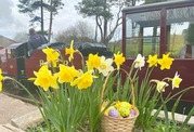 Easter Activities - Ravenglass and Eskdale