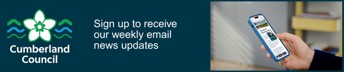 Weekly news email promotional banner