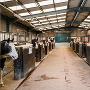Calvert Stables Keswick
