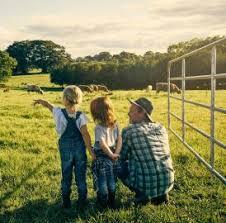 two children being supervised by adult on farmland