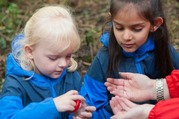 Cumbria Wildlife Trust