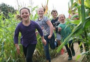 Walby Farm Park