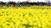 tour de france