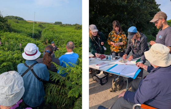 Solway Coast National Landscape - Bird ringing demos