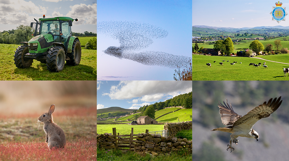 Wildlife and Rural Affairs