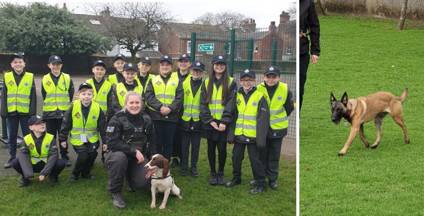 Thomlinson Junior school dog section visit