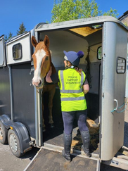 Mounted volunteers