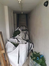 Maryport Cannabis Farm