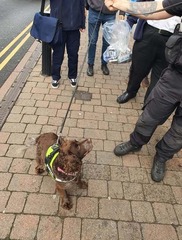 Trading standards west