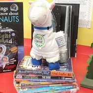 Lionel the Library Llama