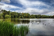 shipley lake