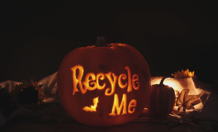 recycle me pumpkin