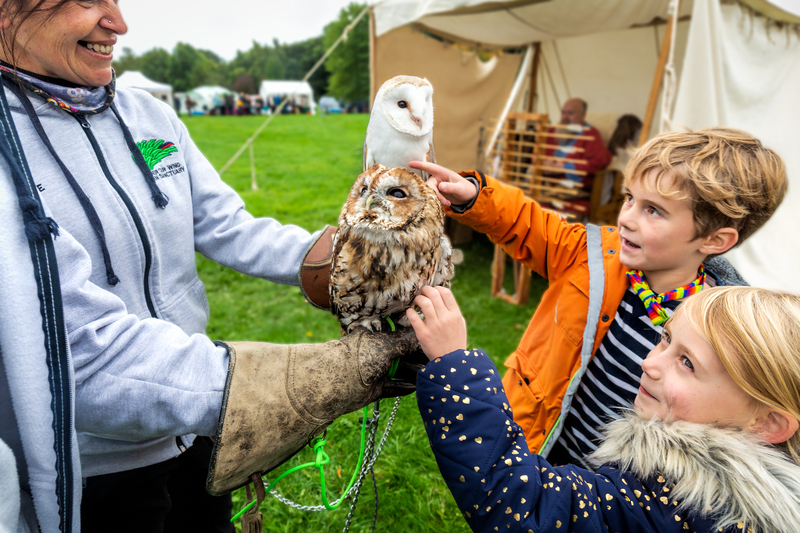 Woodland Festival owl